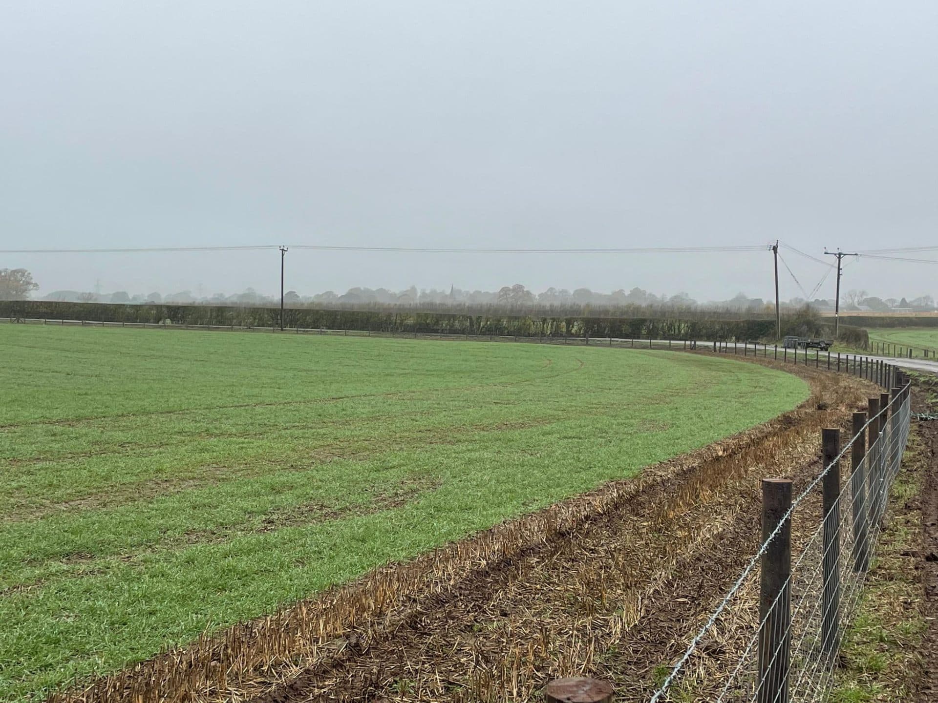Wire Agricultural Fencing