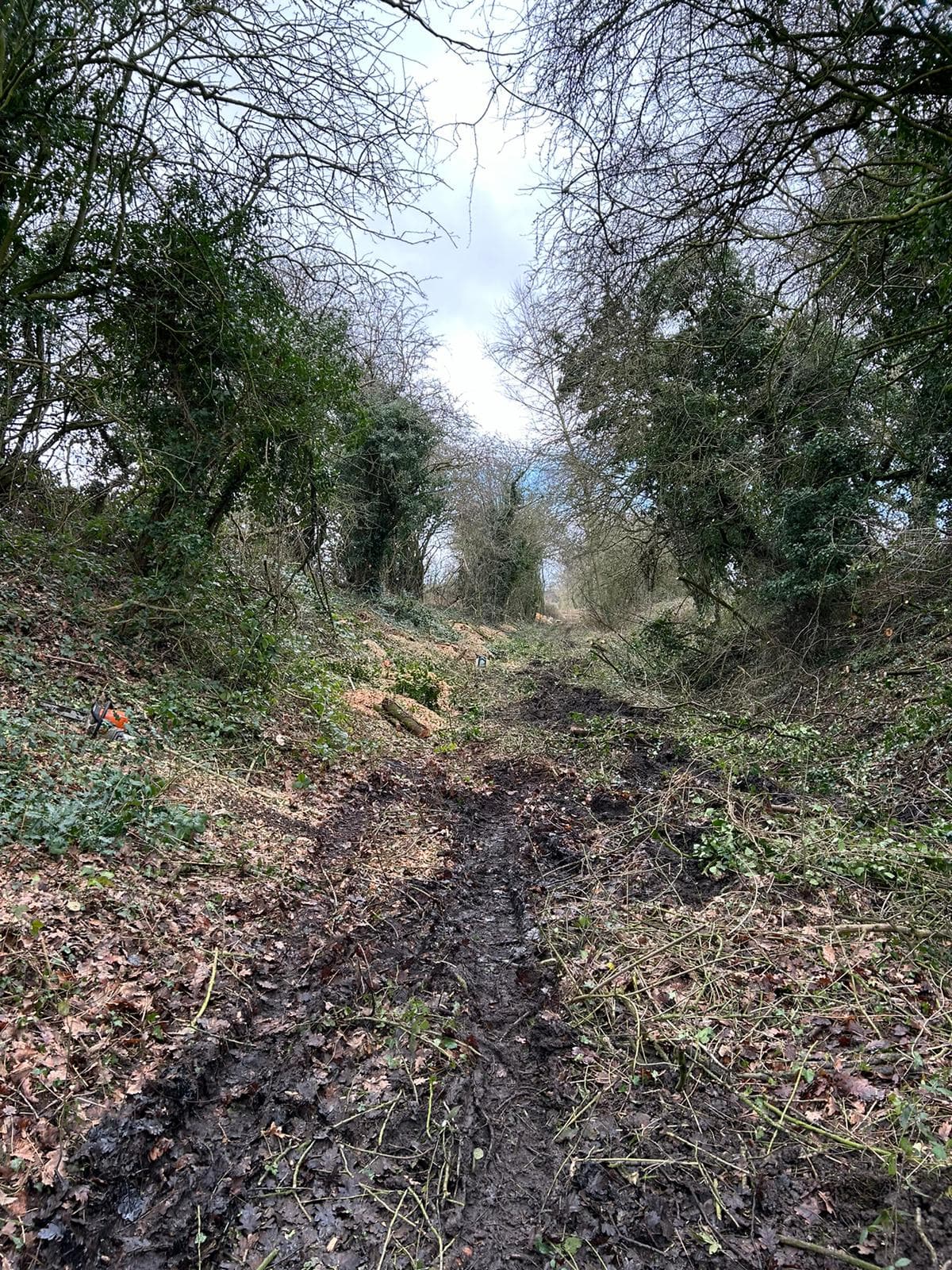 Old Railway Line Site Clearance