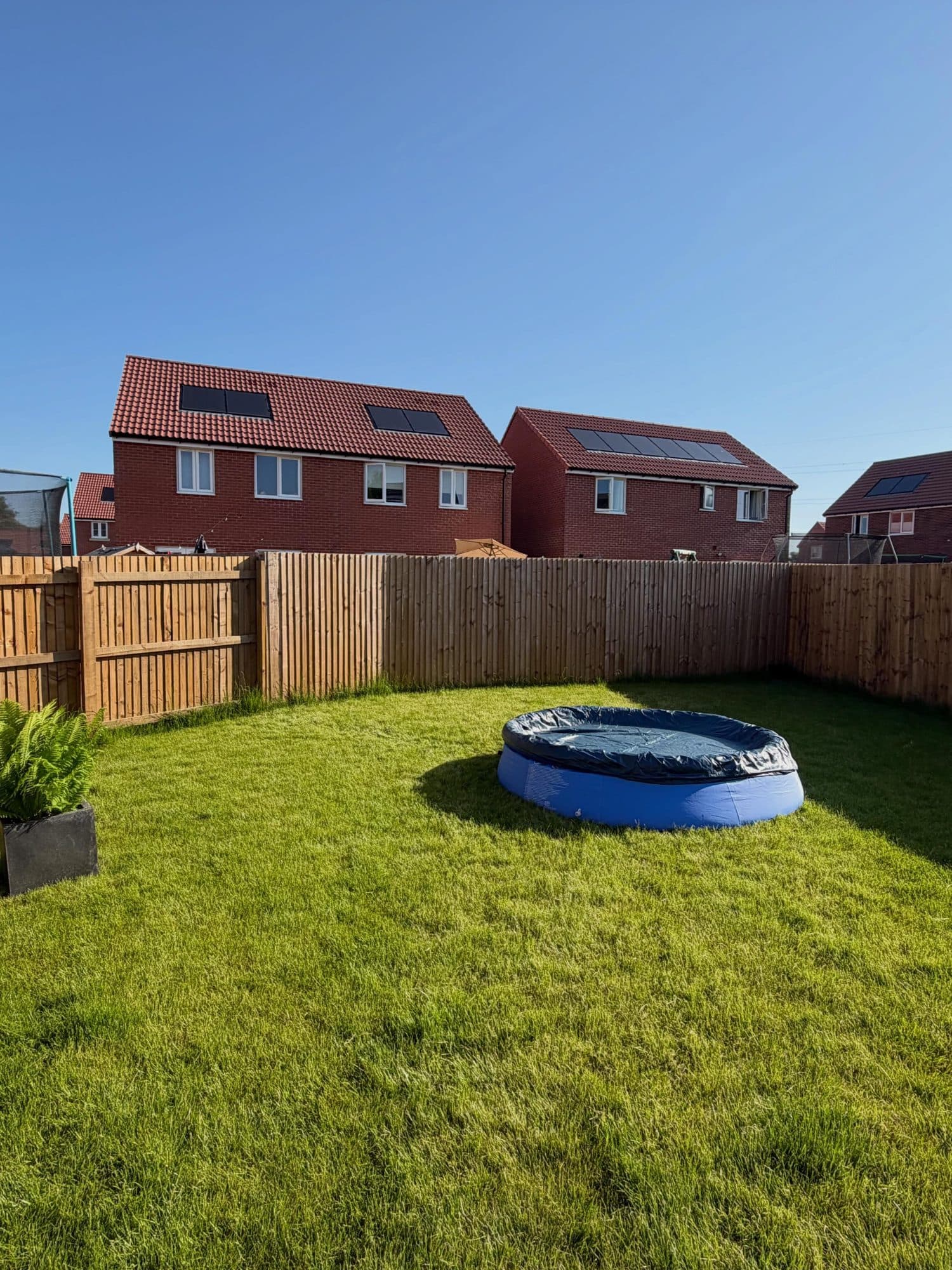Designer Garden Transformation — image 3