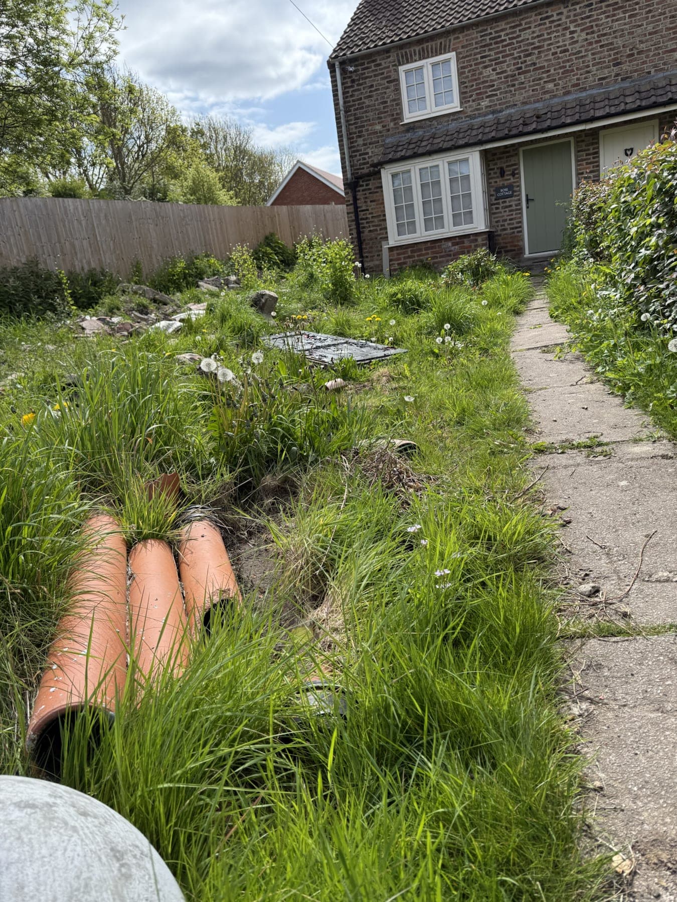 Outbuilding Clearance & Drainage Prep — image 5