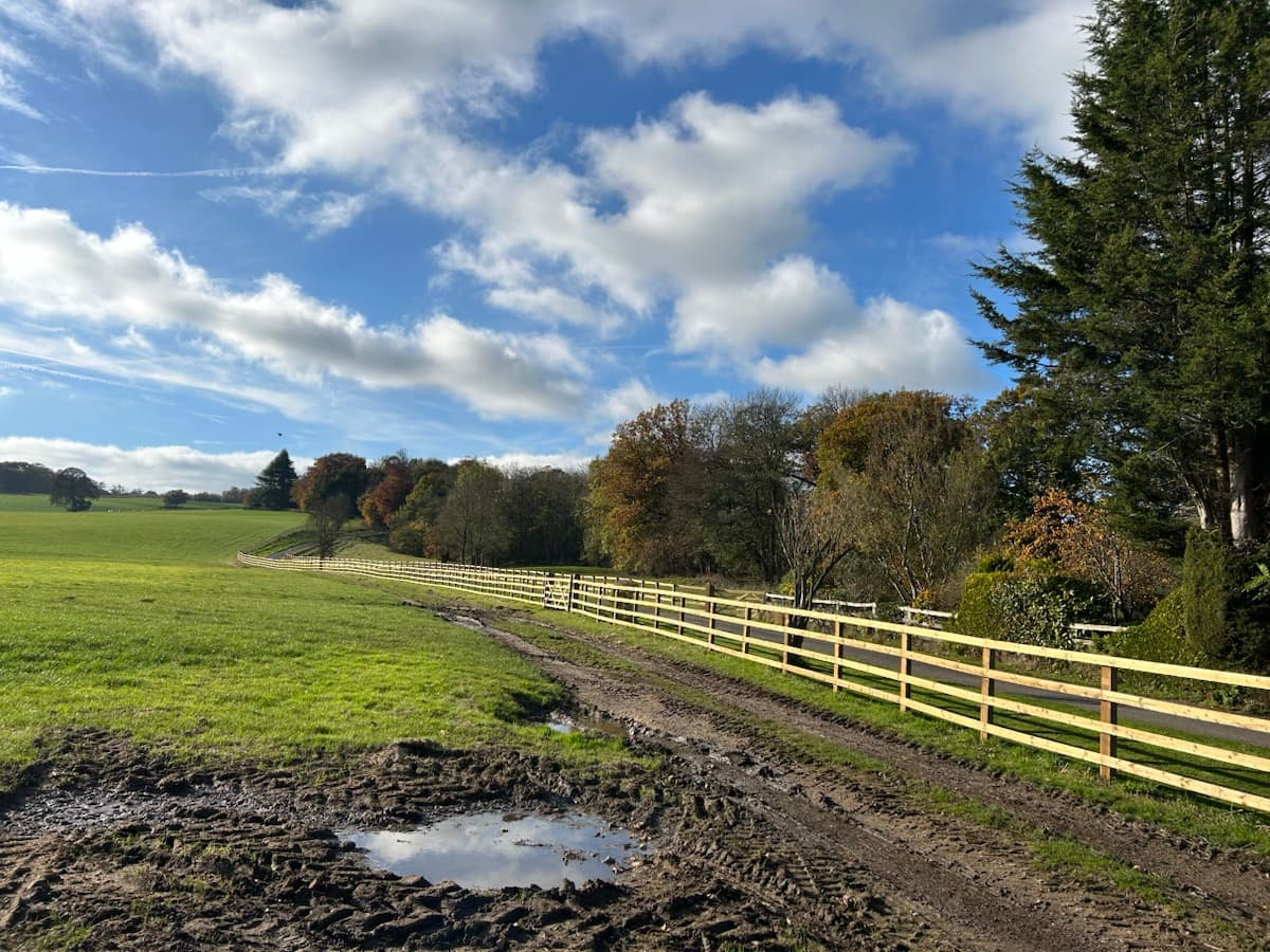 Post and Rail Field Fencing — image 1