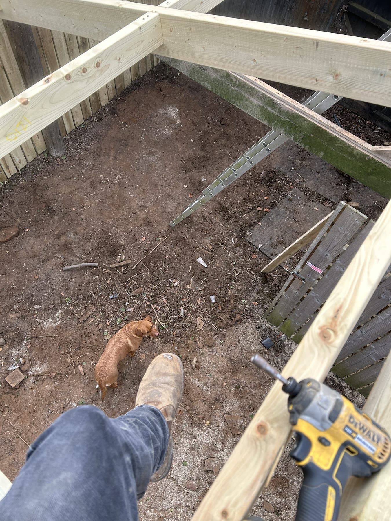 Timber Outbuilding Roof Structure — image 6