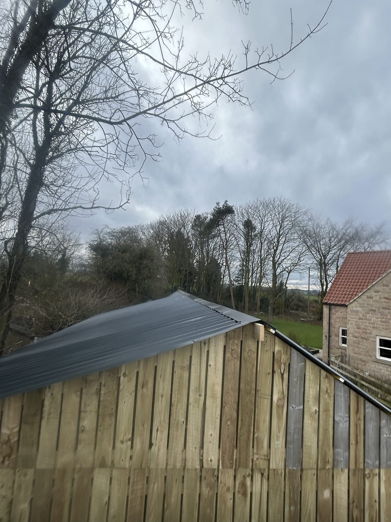 Timber Outbuilding Roof Structure — image 9