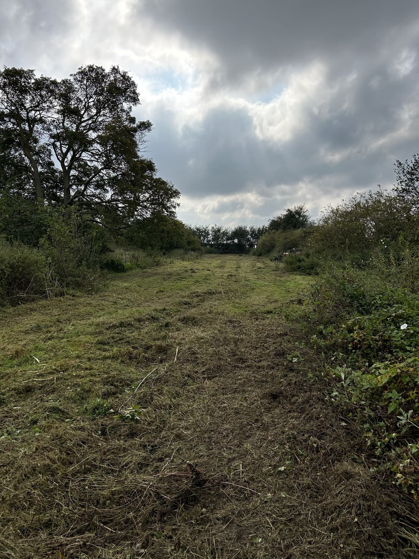 Old Railway Line Site Clearance — image 2