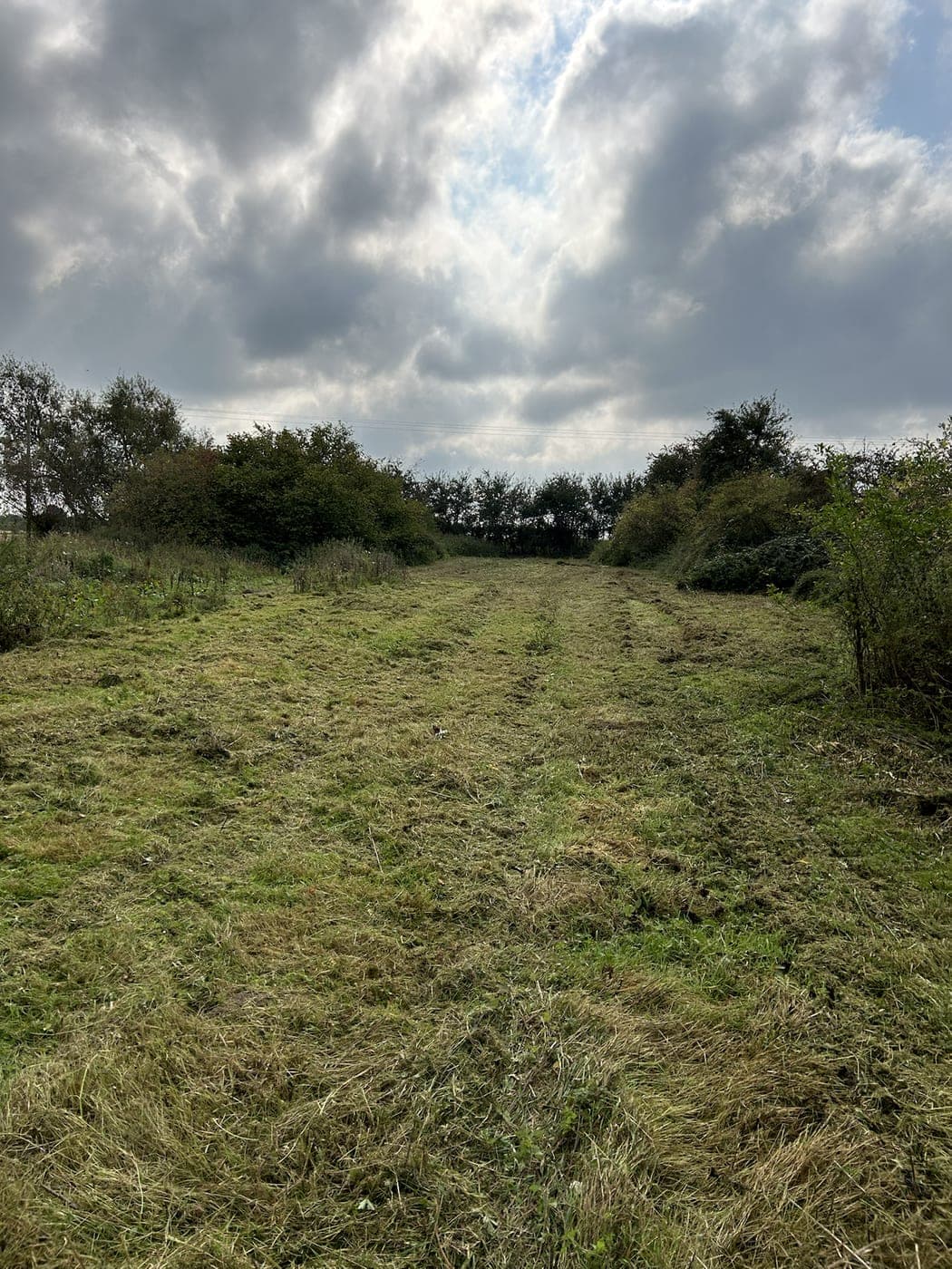 Site Clearance & Driveway Preparation — image 2