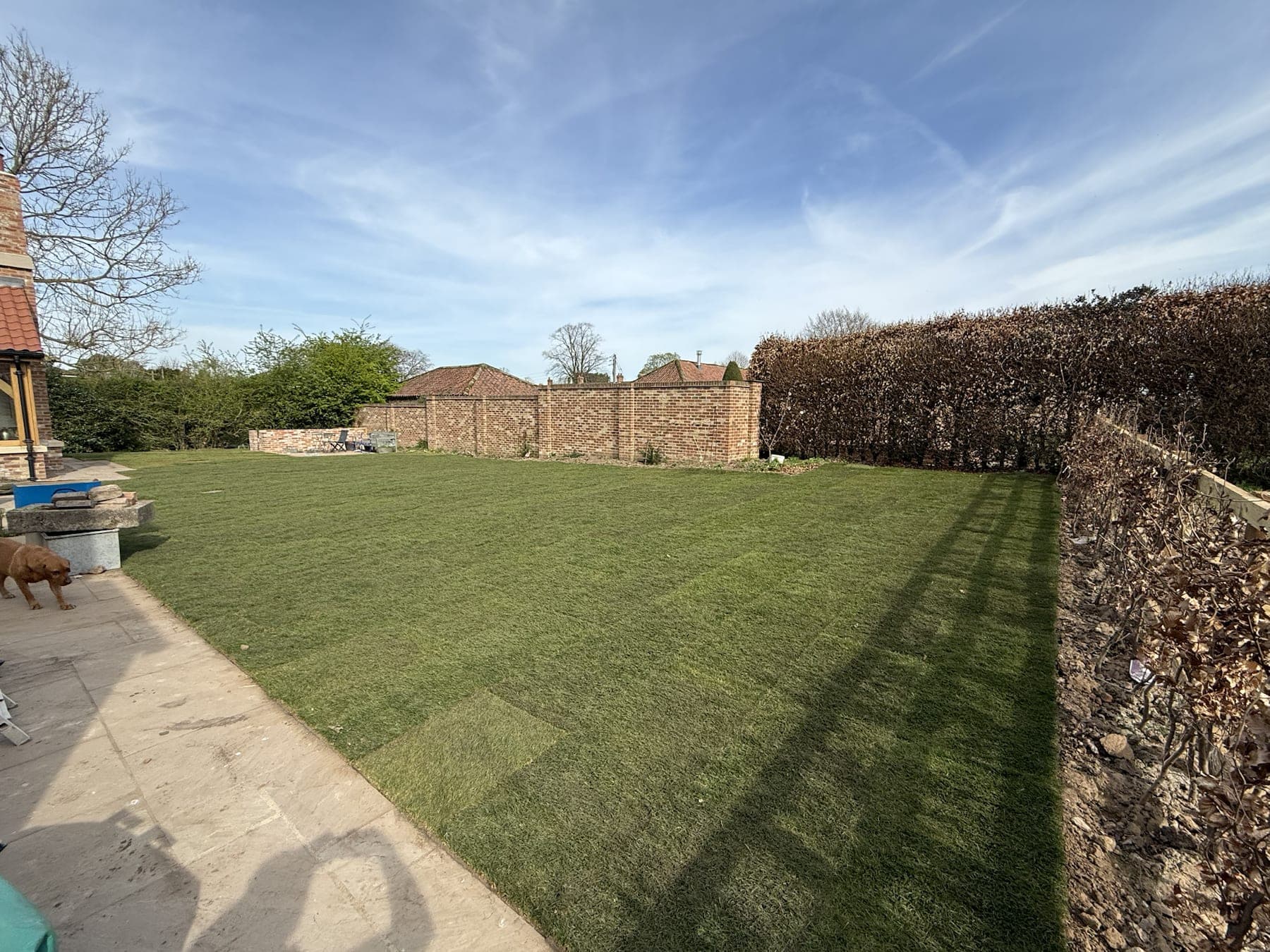 Stone Patio & Lawn Finish — image 4
