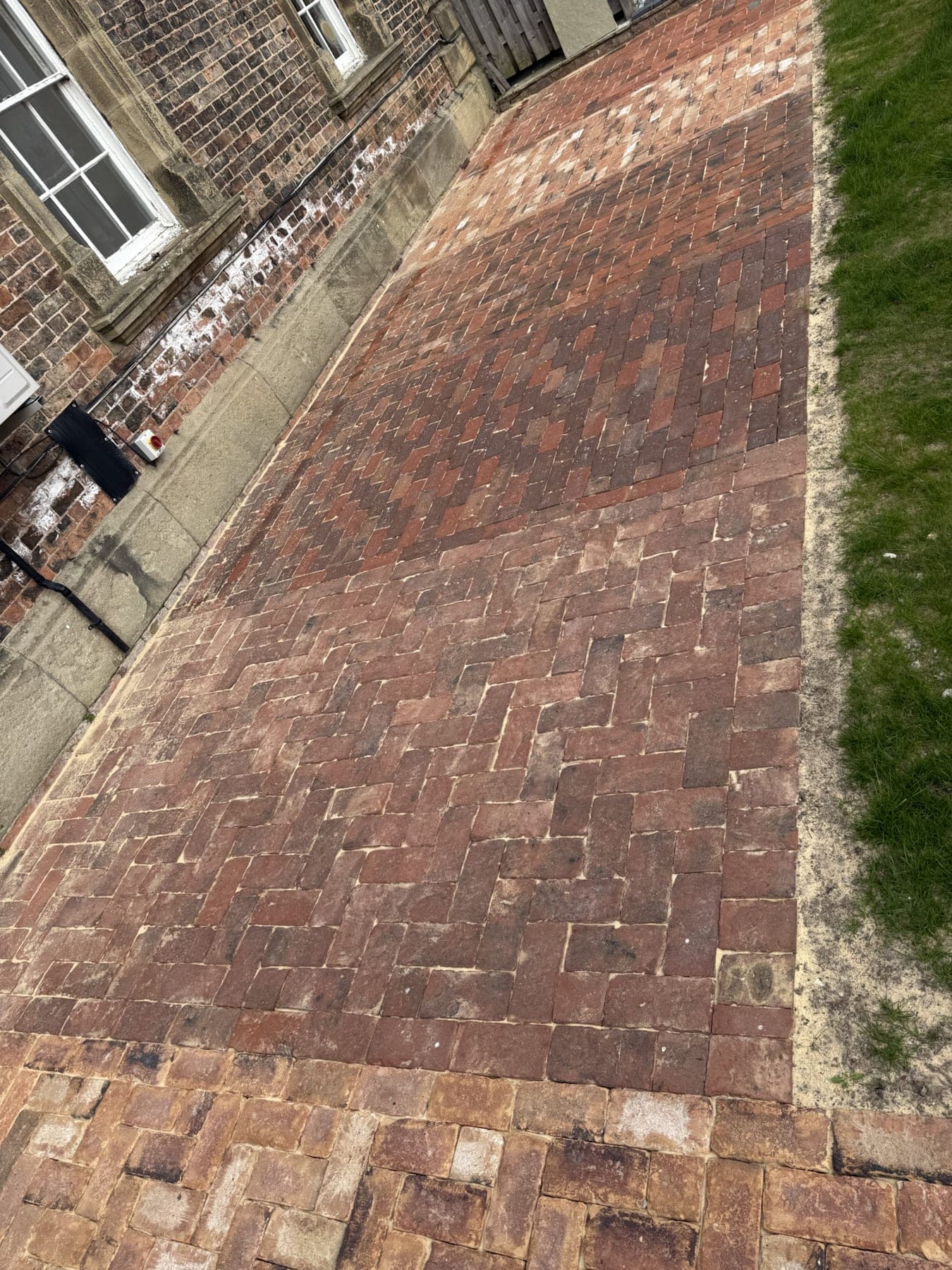 Stone Patio & Lawn Finish — image 7