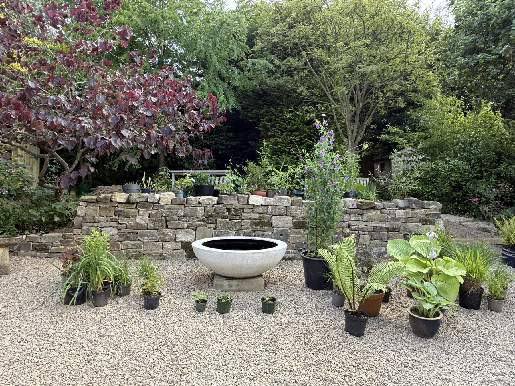 Tiered Gravel Garden & Stone Patio — image 5