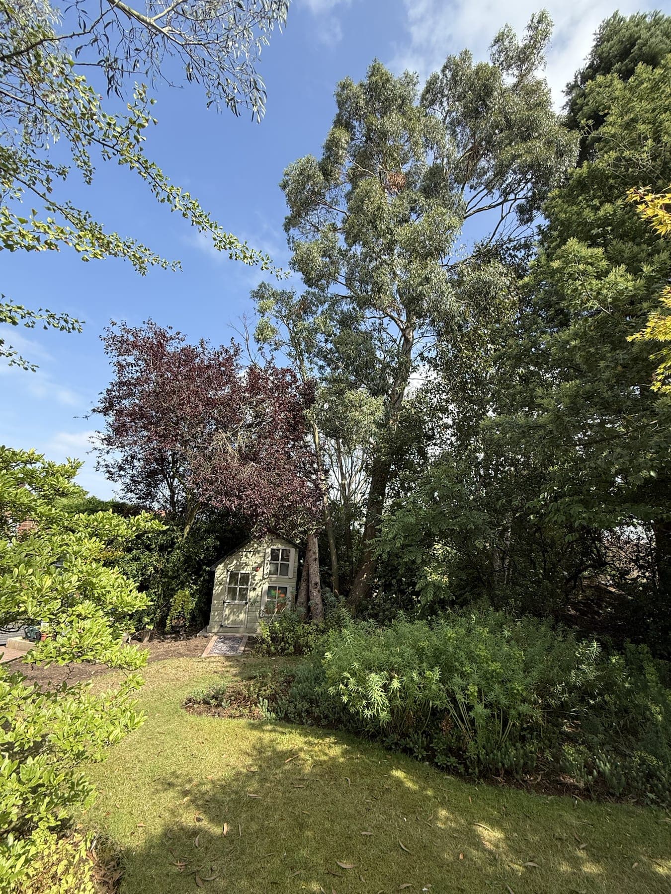 Timber Boundary Fencing & Retaining Wall — image 2