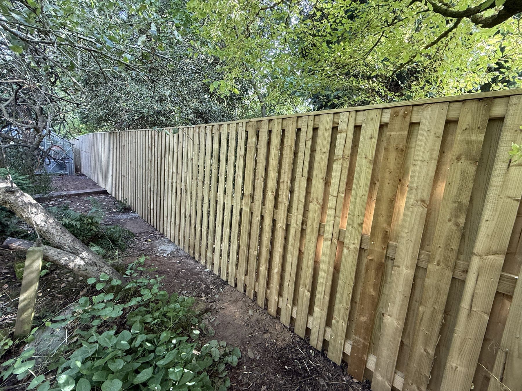 Timber Boundary Fencing & Retaining Wall — image 3