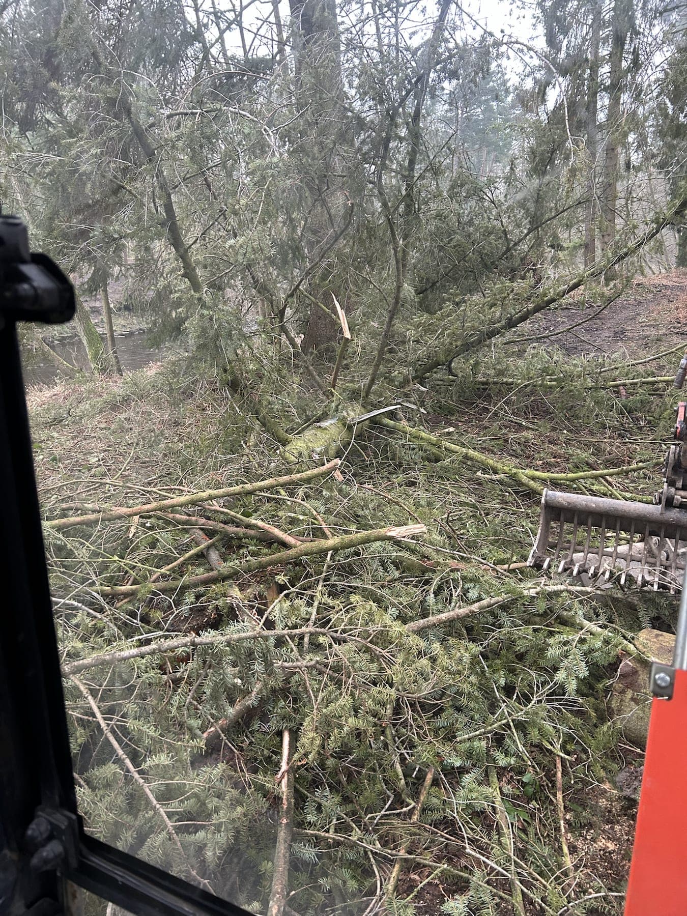 Woodland Access Clearance — image 1