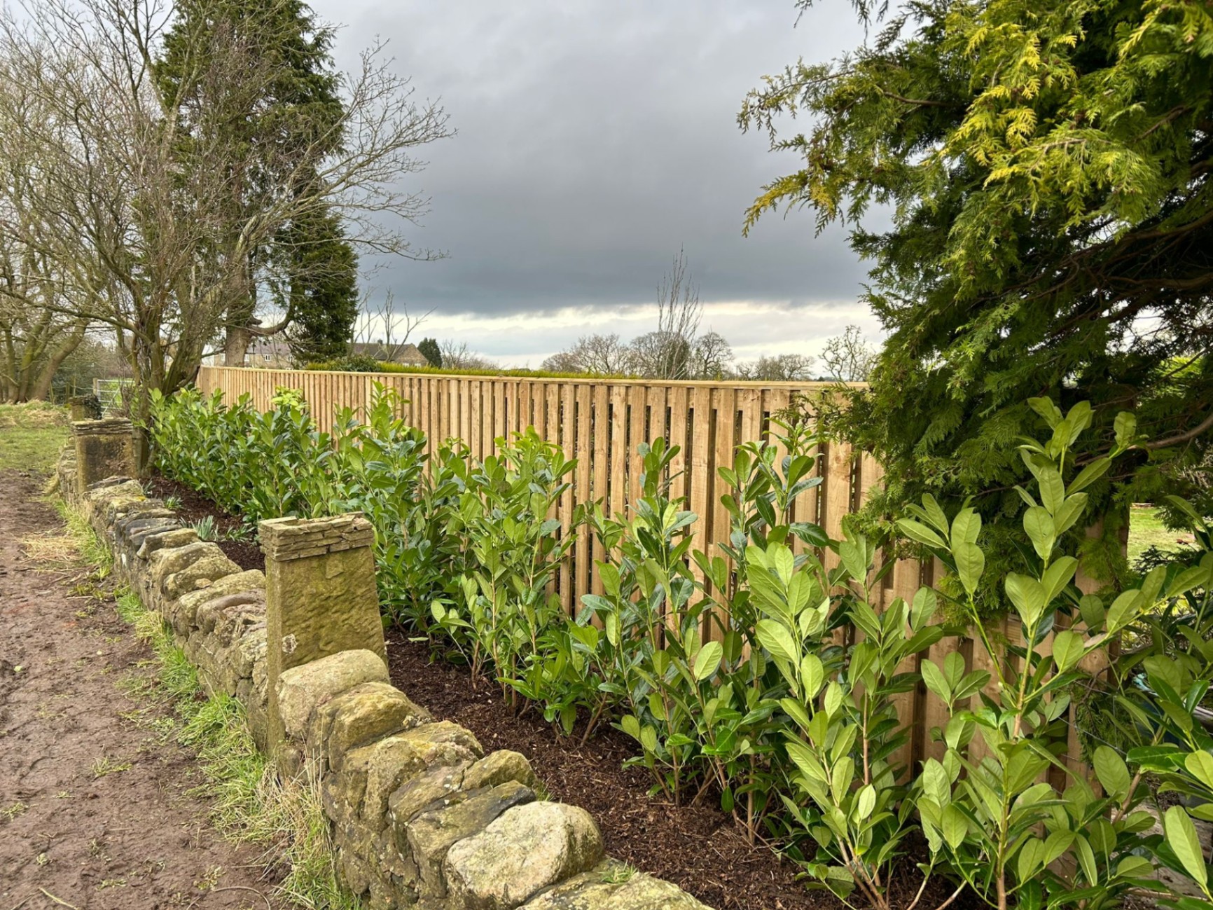 Fence & Hedge Planting — image 1