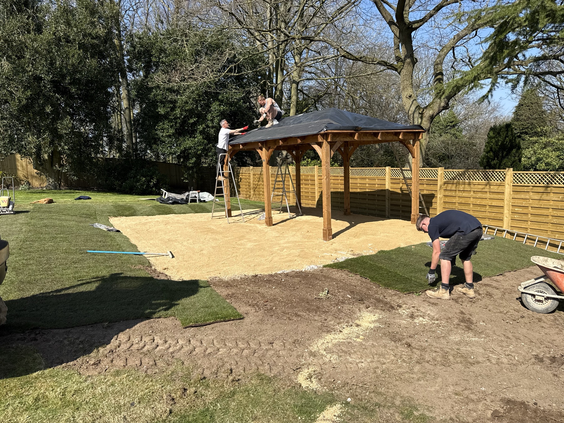Pergola & Lawn Project — image 3