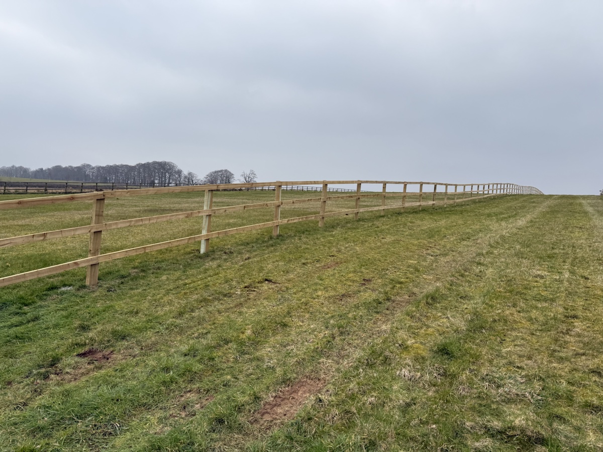 Post and Rail Field Fencing — image 2